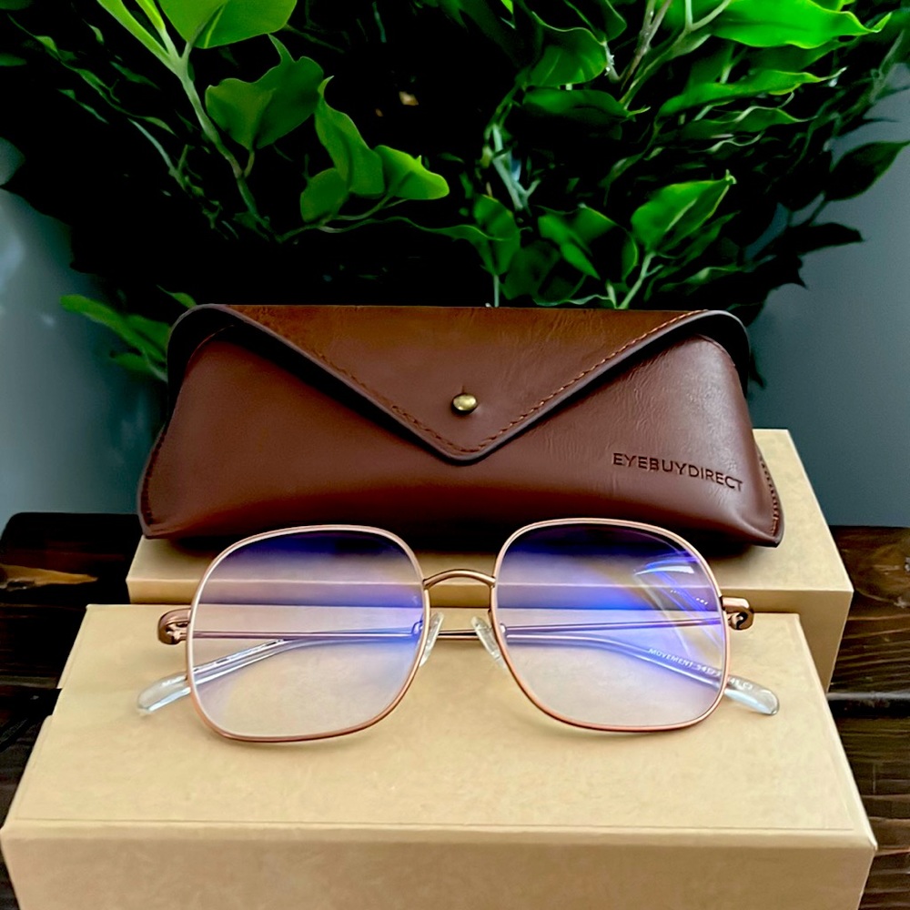Large Gold rimmed eyeglasses from EyeBuy Direct with case NWOT